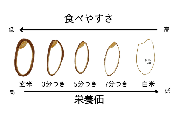 炊飯器のお米が何合か忘れた そんな時の対処法 水加減のはかり方 山形の農家から産地直送 株式会社eden