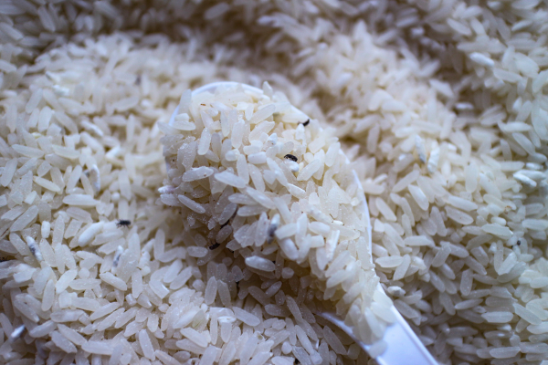 お米 虫の予防対策と対処方法